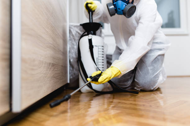 Professional Pest Control in Benld, IL