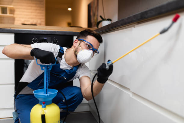 Best Mosquito Control Services  in Benld, IL