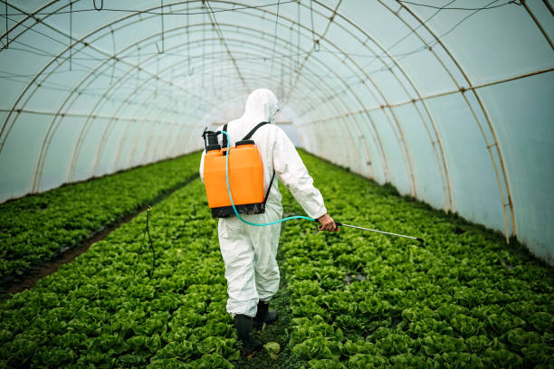 Best Pest Control for Restaurants  in Benld, IL
