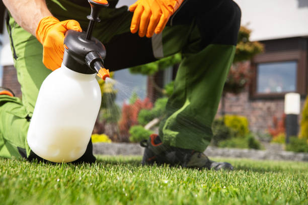 Best Pest Removal Services  in Benld, IL