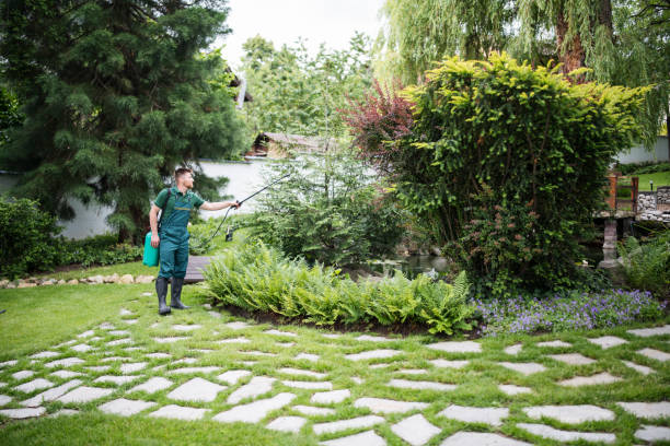 Best Affordable Exterminators  in Benld, IL