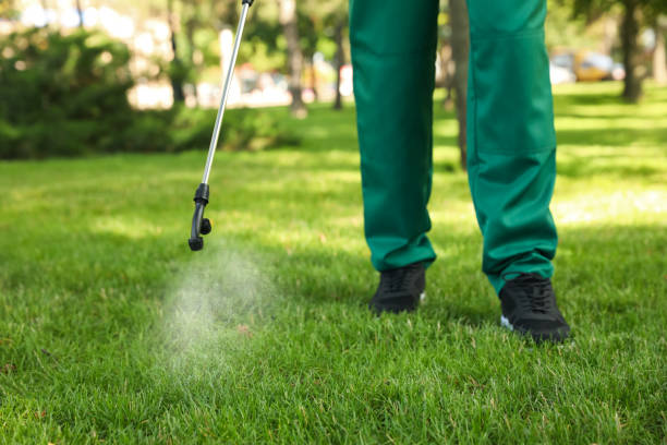 Pest Control for Restaurants in Benld, IL