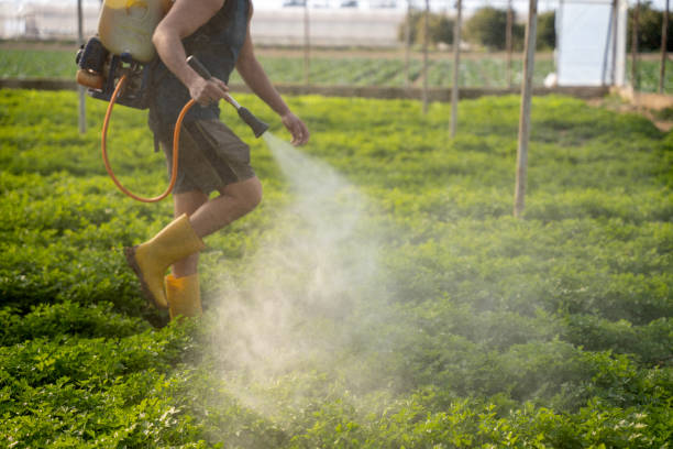 Best Pest Control Near Me  in Benld, IL
