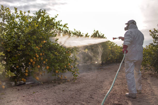 Best Pest Inspection Near Me  in Benld, IL