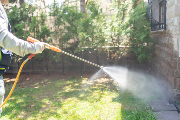 Best Ant Control Services  in Benld, IL